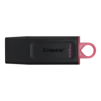 Kingston, DTX/256GB, 256GB, USB 3.2