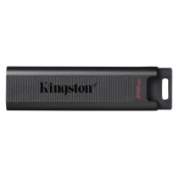 Kingston, DTMAX/256GB, 256GB