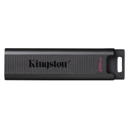 Kingston, DTMAX/256GB, 256GB