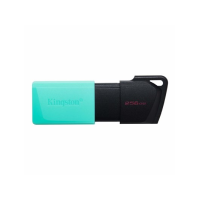 Kingston, DTXM/256GB, 256GB