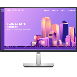 Dell P2422H 23,8 ''