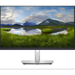 Dell P2422HE 23,8 ''