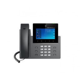 Grandstream GXV3450