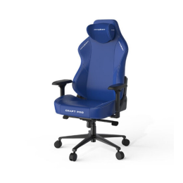 DX Racer, CRA/PRO/I, CRA-PR001-I-H1, грузоподъемность рек: 100 кг