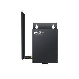 Wi-Tek WI-LTE115-O