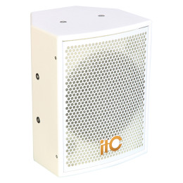 ITC TS-08M 250W @8Ω белый цвет