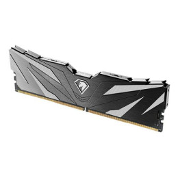 Модуль памяти, Netac, NTSWD5P48SP-08K, DDR5, 8GB